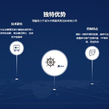 阜阳代写投资安全与增值潜力分析报告这里有价格分析!