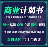 濮阳代写债务履约能力评级报告来图加工制作图片4