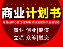 绥化代写投资价值分析报告可定制加工图片5