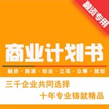 河池代写代做路演各种PPT及P图报告图片5