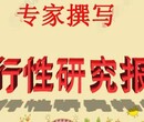 宿迁代写稳定回报论证报告真心推荐,图片