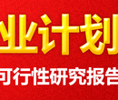 漳州代写风险评定及偿债能力分析报告这个更管用