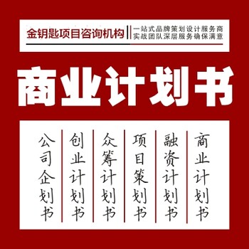 黄山代编写项目偿债能力分析报告服务