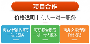 牡丹江代编写项目偿债能力分析报告成功秘笈图片3