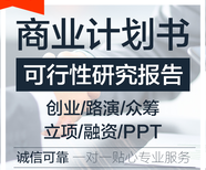 泰州代编写项目潜在收益分析及资金管理实施细则只欠东风图片0