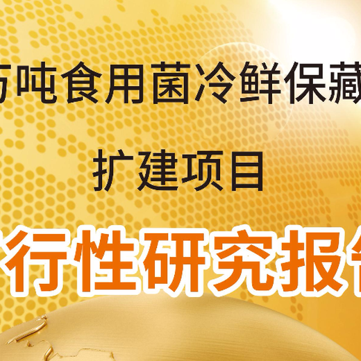 朝阳代写项目偿债能力分析报告下一个成功是谁?