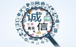 楚雄代写审计报告加盟图片2