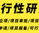 新疆代写项目节能报告(放心省心)图片