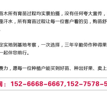 中蟠13簡介介紹