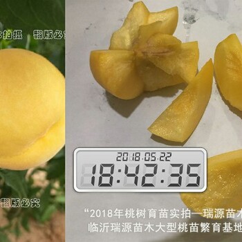 晚熟桃子什么品种好