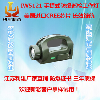 IW5121手提式防爆巡检工作灯可手摇充电便携式探照灯广角调节强光手提式手电筒