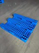 蚌埠市怀远县塑胶托盘塑料卡板货架叉车仓储托盘栈板图片