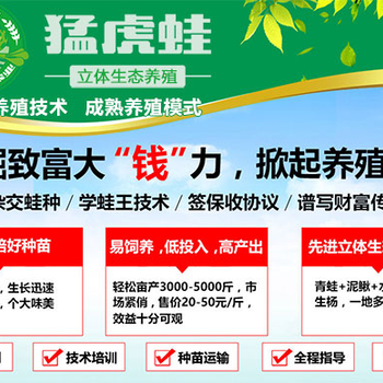 2018做什么項(xiàng)目賺錢？選猛虎蛙青蛙養(yǎng)殖掘金潛力無限