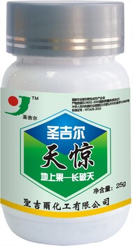圣吉爾天驚