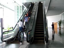 上海标尚乘客电梯回收,舟山自动电梯回收安全可靠图片0