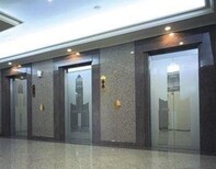 上海标尚乘客电梯回收,自动电梯回收安全可靠图片1