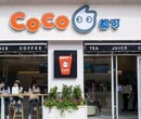 coco奶茶加盟总部公布coco奶茶加盟条件、加盟流程、加盟扶持！图片