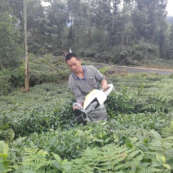 雙刃修剪機招商代理