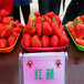 怎么样日本99草莓苗繁育中心