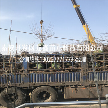 2018年車?yán)遄訕涿缁剀嚴(yán)遄訕涿缁嘏嘤?>
                        </div>
                        <div   class=