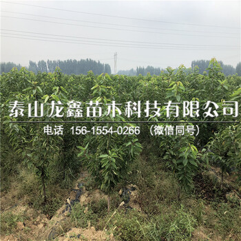 矮化車?yán)遄訕涿缬缁亍?>
                        </div>
                        <div   class=