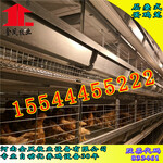 自动化养鸡设备黑龙江金凤鸡笼自动化育雏笼3列3层蛋鸡饲养设备