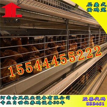 自动化养鸡设备宁夏金凤鸡笼养殖设备厂G28蛋鸡饲养设备