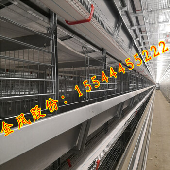 梅州西平金凤鸡笼JF肉鸡养殖设备八层价格批发