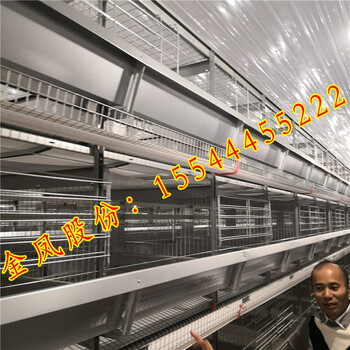金凤鸡笼阶梯式养鸡设备厂家