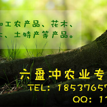 長期有大量艾根銷售艾蒿出售千畝基地自產(chǎn)