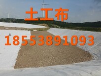 武汉土工布价格图片5