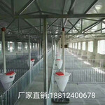 江苏现代化养猪设备安徽养殖设备