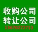 深圳公司不想要了注销还要多少钱