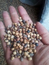 肥料大豆氨基酸有机肥料发酵大豆原料