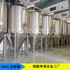 釀酒設備廠家供應小型精釀啤酒設備發酵罐5000升啤酒廠扎啤機