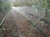 沅陵县喷灌带持久耐用湖南蔬菜种植专用微喷带