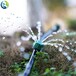 垦利果树滴灌技术安装图农田果园水利灌溉设施果园滴灌管