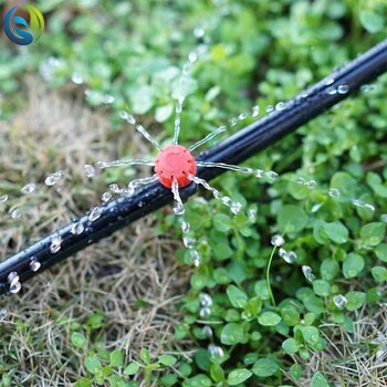 仙桃果树滴灌管安装农田果园水利灌溉设施果园滴灌管