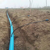 阿拉尔果树滴灌技术视频农田果园水利灌溉设施果园滴灌管