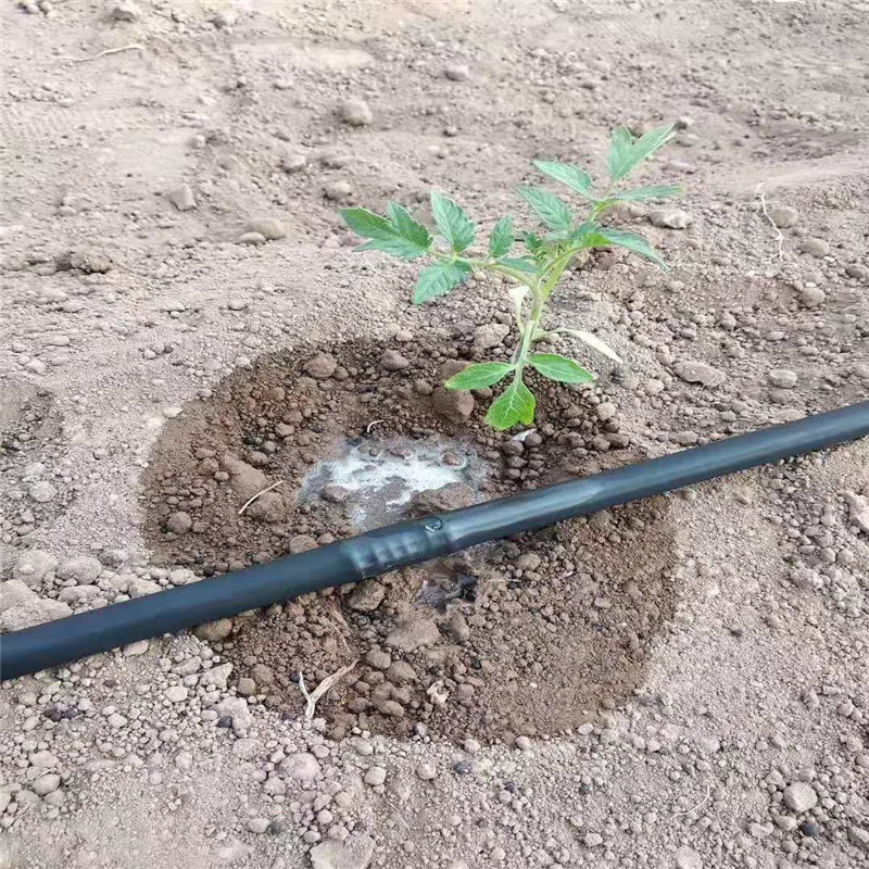 通州果树滴灌设计方案农田果园水利灌溉设施果园滴灌管