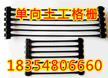 惠州双向塑料土工格栅价格图片1