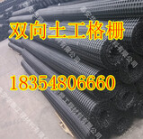 惠州双向塑料土工格栅价格图片3