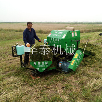 玉米稈青貯機(jī)玉米秸稈青貯養(yǎng)羊