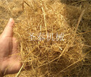 稻草秸秆揉丝机图片