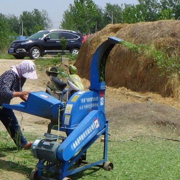 青秸秆可用铡草机厂家圣泰牌中小型铡草机作用