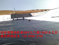 养猪场污水池黑膜复合土工膜糙面高密度聚乙烯（HDPE）土工膜图片1