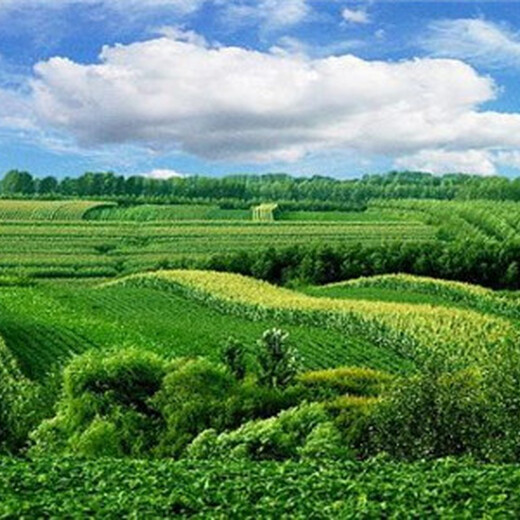 陆川县本土可行性研究报告编写