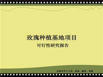 烟台写可行性报告公司做报告图片2