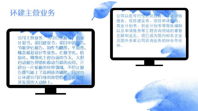 玉溪可行性报告-国外公司报告怎么写