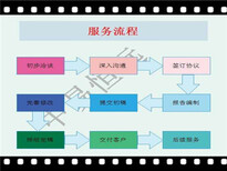 石龙区写项目申请报告-申报项目可行编写图片4